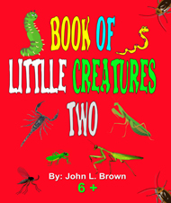 Book Of Little Creatures Two