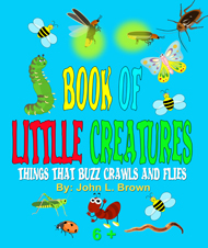 Book Of Little Creatures